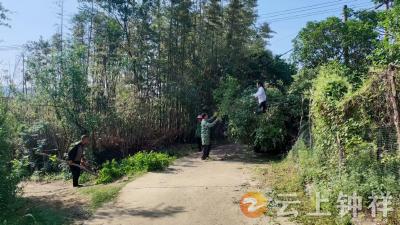 张集镇开展农村公路绿化安全隐患排查整治 守护群众出行安全