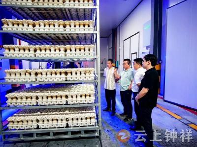 张集镇精准对接抓招商促发展