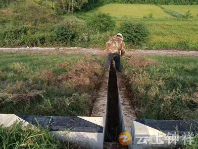 丰乐镇落实河湖长制 水库清沟除杂筑牢汛期“安全屏障”