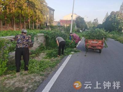 钟祥市柴湖镇：巾帼同心焕新貌，清洁家园暖人心