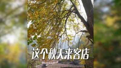 湖北钟祥：这个秋天来客店