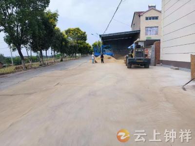 长寿镇普门村：邻里齐心抢收稻谷 积分奖励传递互助正能量