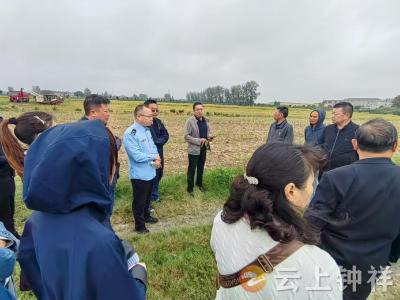 钟祥市：举办“看禾选种”观摩活动