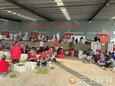 钟祥绿邦：用心守护“舌尖上的健康”
