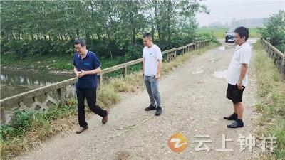 柴湖镇：多部门联合勘测危桥 为加固改建工作筑牢基础