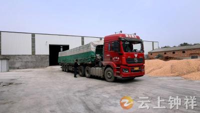 湖北钟祥：129个烘干网点连轴转  助力河南粮食“颗粒归仓”