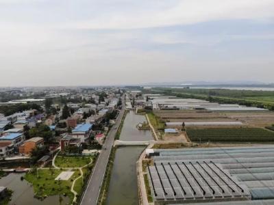 豚跃江天菜乘风——看鄂州市杨叶镇绿色发展蝶变