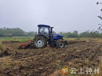 东桥镇清明村：网格员“全程护航” 乡村油菜扩种按下“加速​键”