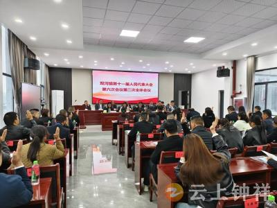 钟祥市双河镇第十一届人大六次会议圆满召开 聚焦民生实事 共绘发展新篇