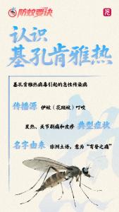 预防基孔肯雅热防蚊要诀
