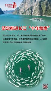 瞭望·治国理政纪事｜坚定推进长江“十年禁渔”