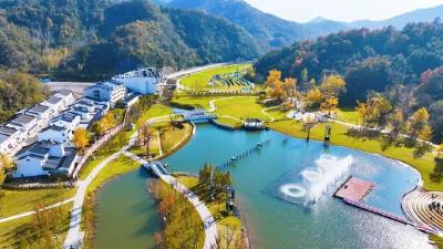 一叶破局 全域出圈——千年银杏谷秋季爆火的背后