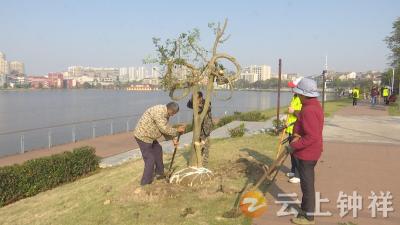 徐从勤：捐赠绿化苗木  扮靓城市环境