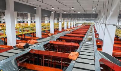 今年“双11”快递有多快？鄂州告诉你！