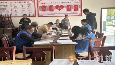 柴湖镇黎明村：网格赋能房产核查 2天摸清产权“家底”