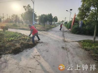 钟祥市长滩镇：志愿服务聚合力 清洁家园谱新篇