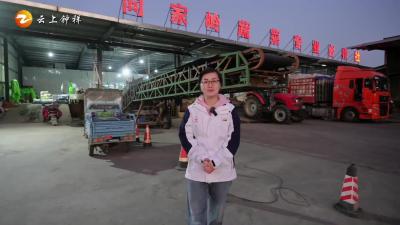 湖北钟祥：旧口镇“蔬”写亿元大产业，铺就富民强镇路