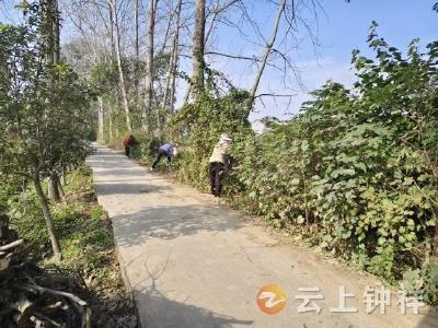 冷水镇郑湾村：网格员全程护航修路工程 铺就群众幸福致富路