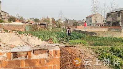 洋梓镇推进禁毒铲毒专项行动 织密“无毒”安全网