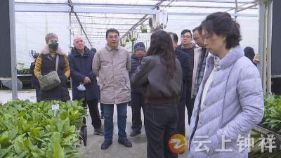 台湾花莲县议员参访团来钟祥交流