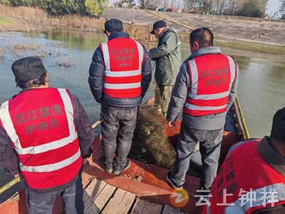 洋梓镇清网行动：为汉江生态“保驾护航”