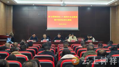 石牌镇学习贯彻党的二十届四中全会精神