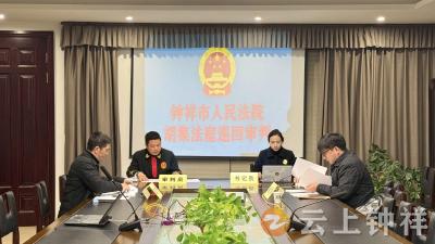 钟祥：巡回法庭进企业 司法服务护营商