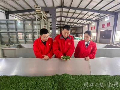 一片茶叶的史诗