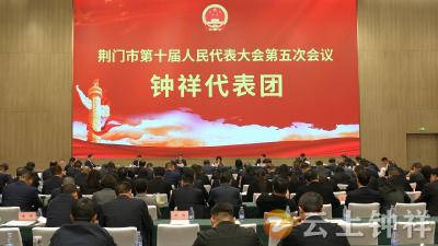 荆门市十届人大五次会议钟祥代表团审议政府工作报告