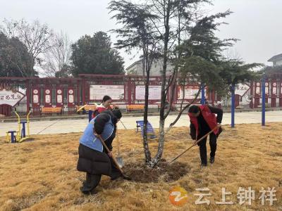 【接您回家·返乡季】皇庄街道皇城社区联合钟祥市园林绿化建设中心开展主题党日暨义务修剪活动