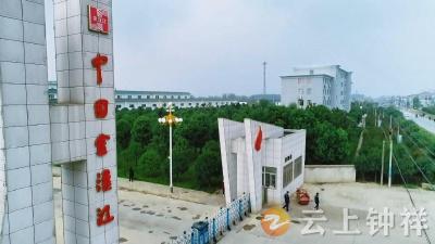 【新春走基层】湖北金汉江精制棉有限公司——创新提质扩产能 引领行业新航向