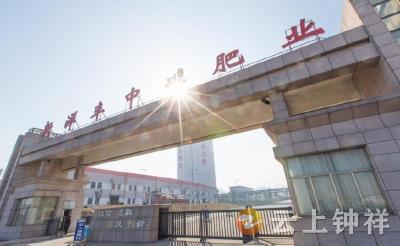 【建设先行区 发展勇争先】纳税、技改双第一！新洋丰中磷交出精彩答卷