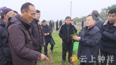 钟祥市农业农村局六大行动“闹”春耕