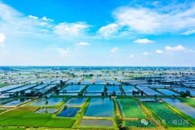 多问一句“清不清楚”，是对乡亲们最深情的担当