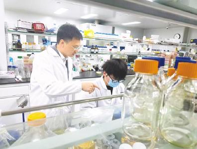 支点建设一年间丨春光正好 七力起势