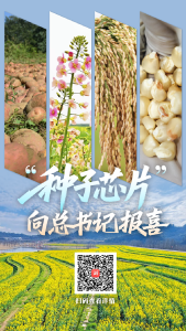 “种子芯片”向总书记报喜