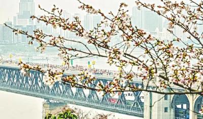 从“客场”到“主场”，读懂武汉文旅“朋友圈”扩容背后的经济逻辑