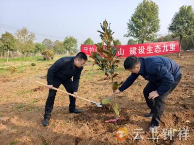 履“植”尽责添新绿——九里回族乡人大代表开展义务植树活动