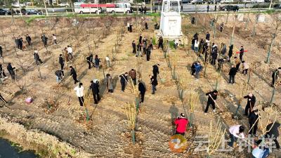 钟祥市开展全民义务植树活动 共植新绿添彩生态画卷