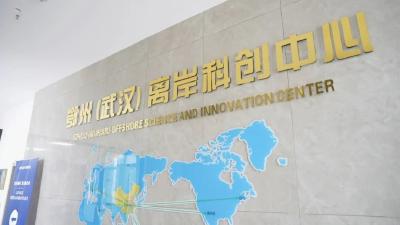 五大举措激活全链条 鄂州功能区赋能光谷科创大走廊