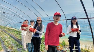 钟爱人才·共享‘莓’好——青年人才相聚丰乐共赴‘莓’好之约