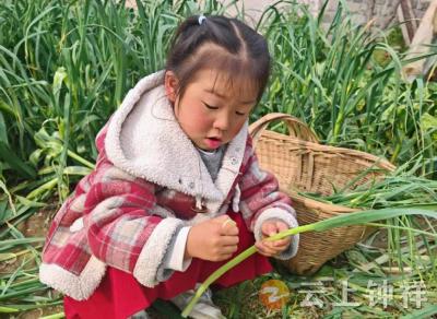 伍庙中心幼儿园：小小雷锋在行动 春风温暖伴我行