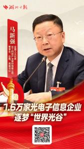 实录丨湖北代表团开放日：看世界为何聚焦中国中部