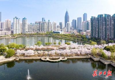 武汉这场大会，有三个不同！让长江中游的美好被世界看见