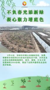 湖北钟祥：不负春光添新绿  凝心聚力增底色