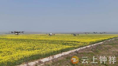 湖北钟祥：农机以旧换新 “换”出乡村振兴新动力