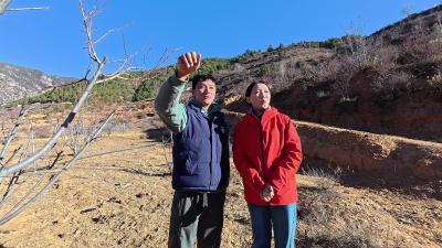 8 新春走基层丨人均可支配收入增长30%，这个高原小村凭啥？