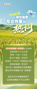 2026年湖北省委一号文件发布