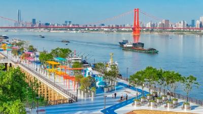 这八篇文章，写在“立规之地”