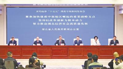 以湖北一域之为更好服务于中国式现代化建设全局